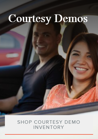 Search Courtesy Demos